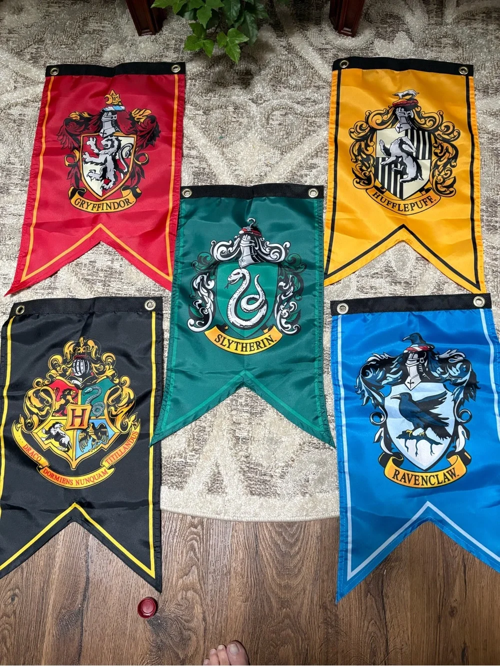 House Crest Banner Set - Red, Yellow, Green, Blue, Black - Party & Room Decor